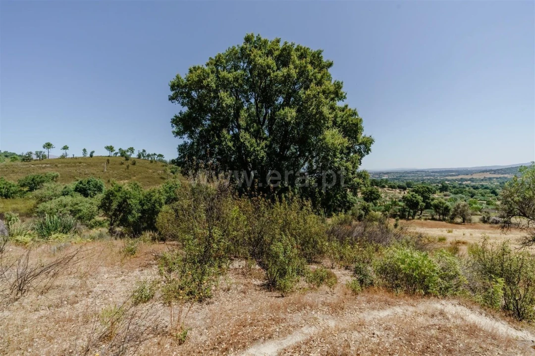 Quinta T0 para Venda em Telhado Foto 20