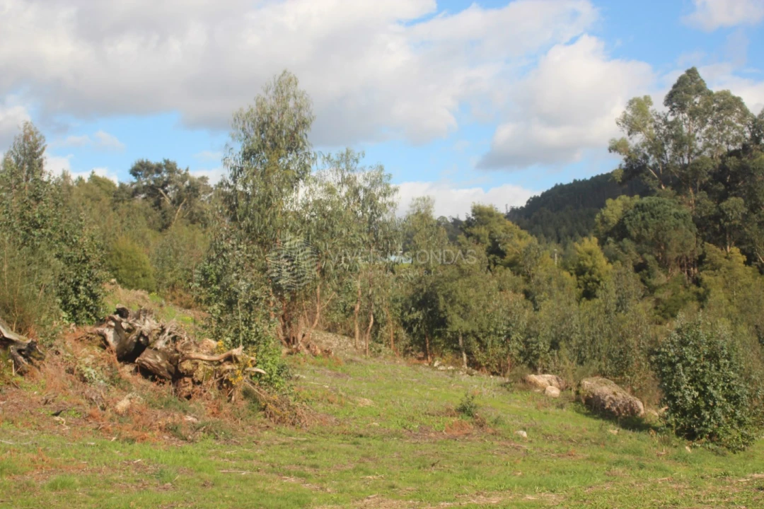 Terreno para Venda em Santo Tirso, Couto (Santa Cristina e São Miguel) e Burgães Foto 1