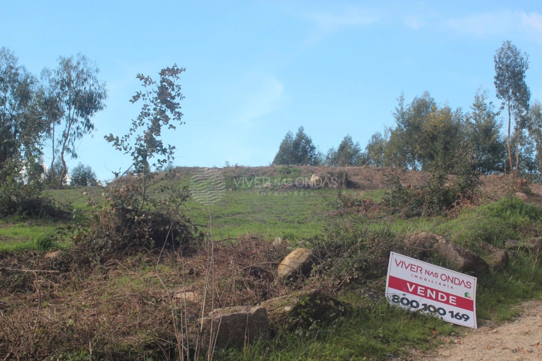 Terreno para Venda em Santo Tirso, Couto (Santa Cristina e São Miguel) e Burgães Foto 19