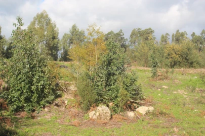 Terreno para Venda em Santo Tirso, Couto (Santa Cristina e São Miguel) e Burgães
