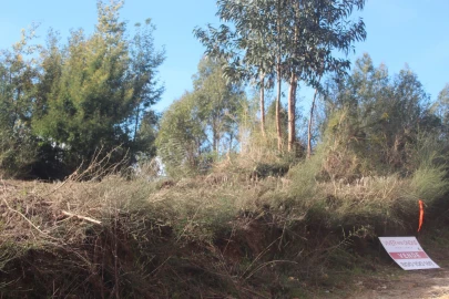 Terreno para Venda em Santo Tirso, Couto (Santa Cristina e São Miguel) e Burgães
