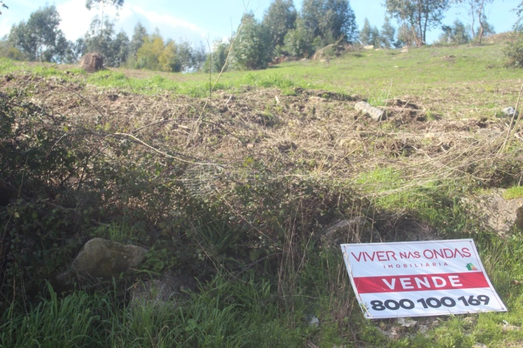 Terreno para Venda em Santo Tirso, Couto (Santa Cristina e São Miguel) e Burgães Foto 12