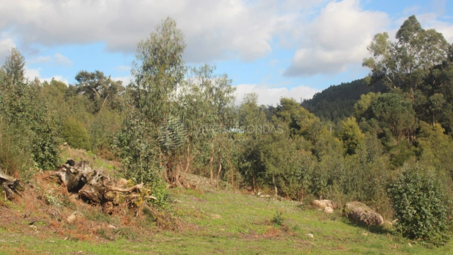 Terreno para Venda em Santo Tirso, Couto (Santa Cristina e São Miguel) e Burgães