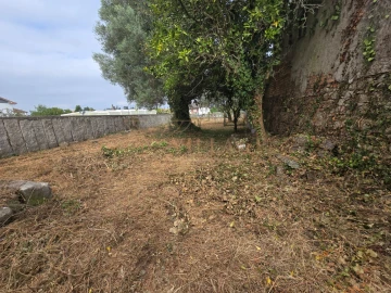 Moradia T3 para Venda em São Pedro da Torre