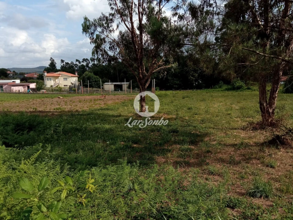 Terreno para Venda em Ucha Foto 2