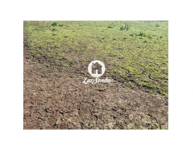 Terreno para Venda em Ucha Foto 6