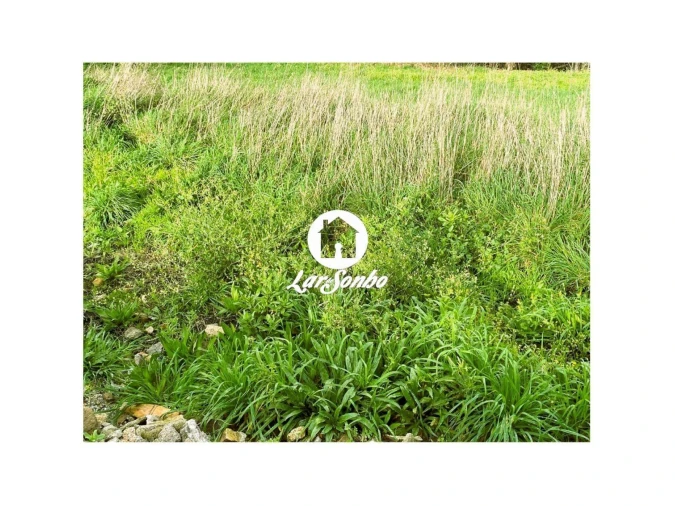 Terreno para Venda em Ucha Foto 9