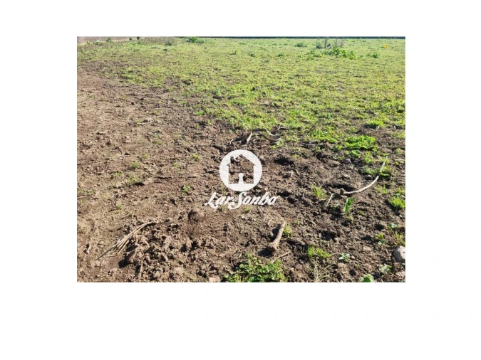 Terreno para Venda em Ucha Foto 12