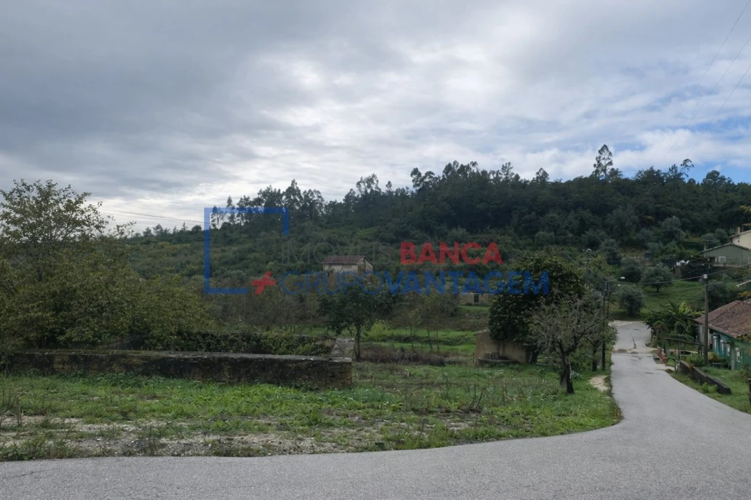 Terreno Misto para Venda em Eiras e São Paulo de Frades Foto 1