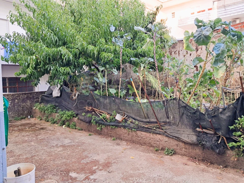 Loja para Venda em Castelo Branco Foto 8