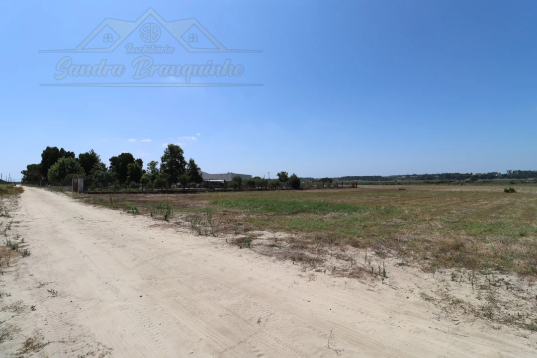 Terreno Agricola ou Rústico para Venda em Salvaterra de Magos e Foros de Salvaterra Foto 2