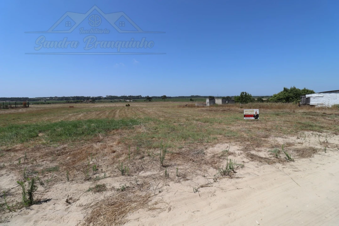 Terreno Agricola ou Rústico para Venda em Salvaterra de Magos e Foros de Salvaterra Foto 5