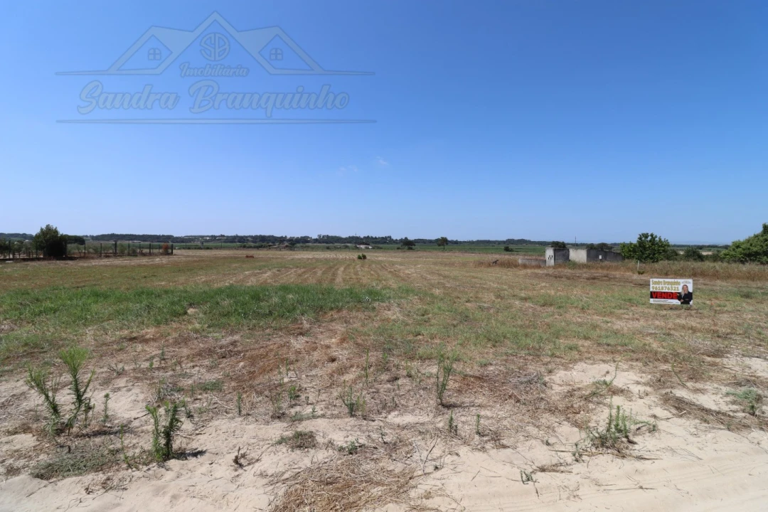 Terreno Agricola ou Rústico para Venda em Salvaterra de Magos e Foros de Salvaterra Foto 6