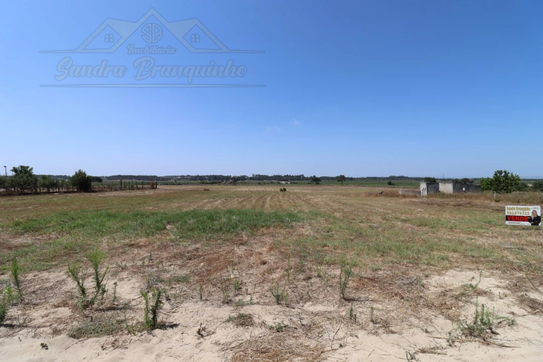 Terreno Agricola ou Rústico para Venda em Salvaterra de Magos e Foros de Salvaterra Foto 8