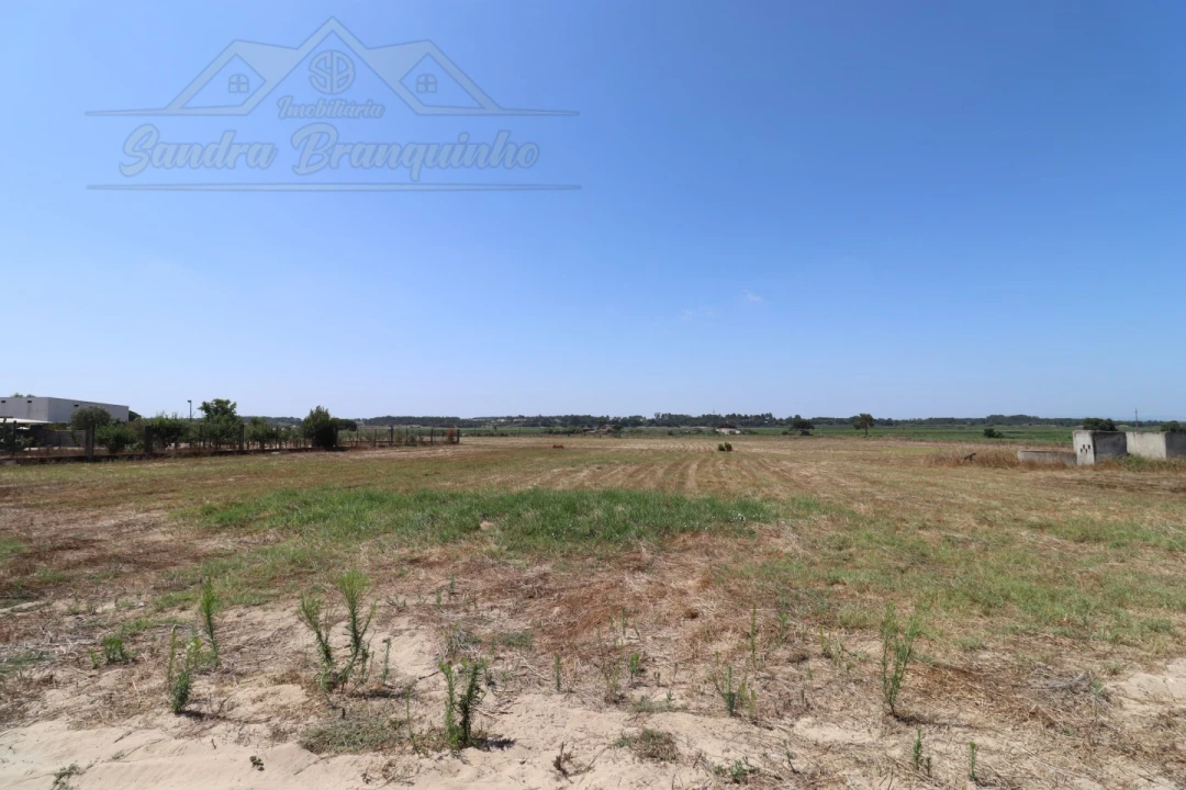 Terreno Agricola ou Rústico para Venda em Salvaterra de Magos e Foros de Salvaterra Foto 9