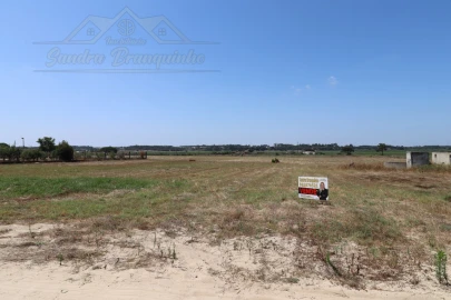 Terreno Agricola ou Rústico para Venda em Salvaterra de Magos e Foros de Salvaterra