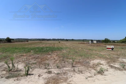 Terreno Agricola ou Rústico para Venda em Salvaterra de Magos e Foros de Salvaterra
