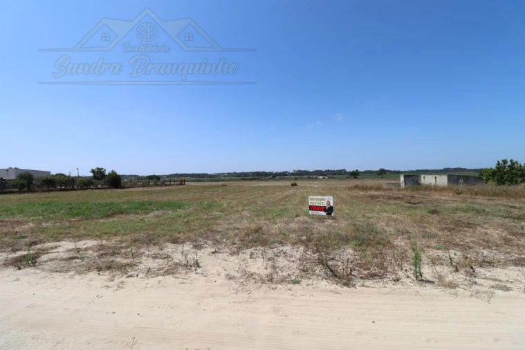 Terreno Agricola ou Rústico para Venda em Salvaterra de Magos e Foros de Salvaterra Foto 4