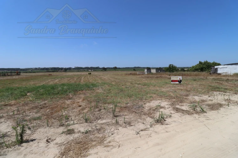 Terreno Agricola ou Rústico para Venda em Salvaterra de Magos e Foros de Salvaterra Foto 5