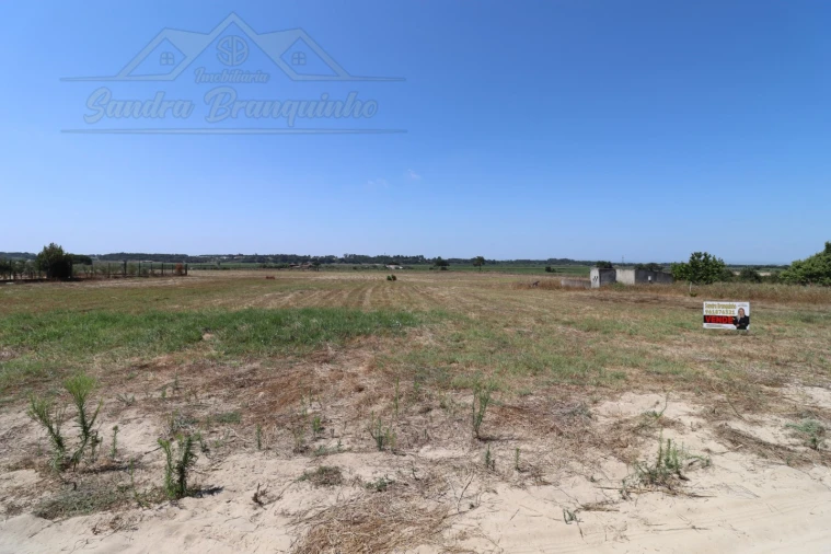 Terreno Agricola ou Rústico para Venda em Salvaterra de Magos e Foros de Salvaterra Foto 6