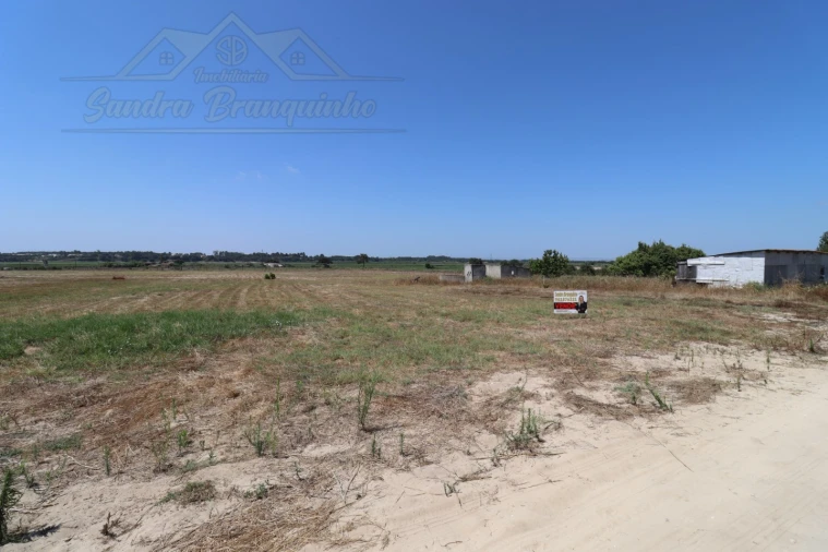 Terreno Agricola ou Rústico para Venda em Salvaterra de Magos e Foros de Salvaterra Foto 7
