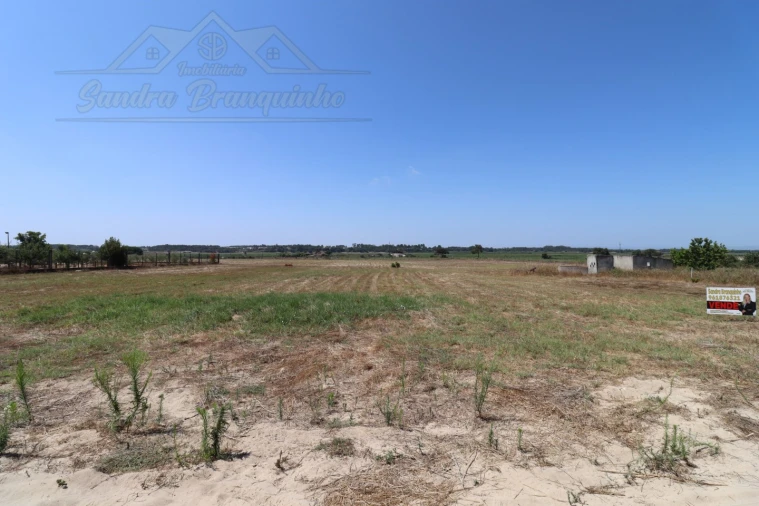 Terreno Agricola ou Rústico para Venda em Salvaterra de Magos e Foros de Salvaterra Foto 8