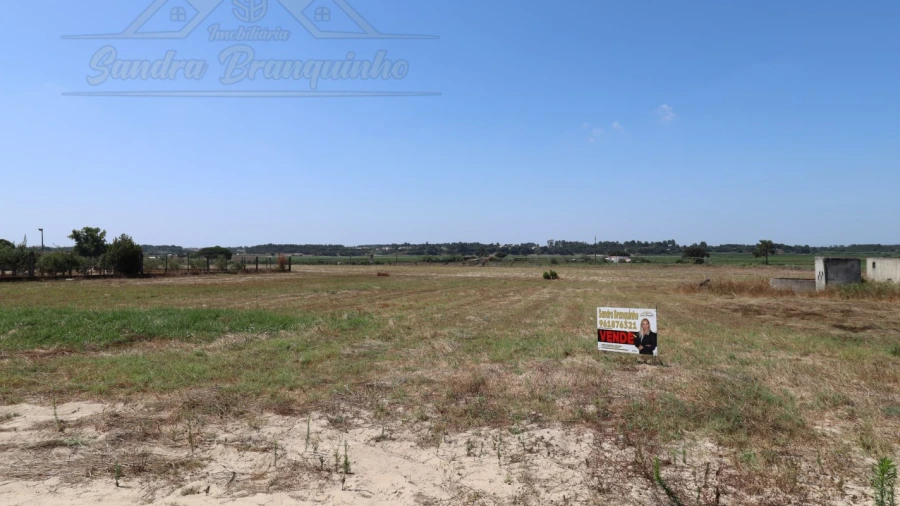 Terreno Agricola ou Rústico para Venda em Salvaterra de Magos e Foros de Salvaterra