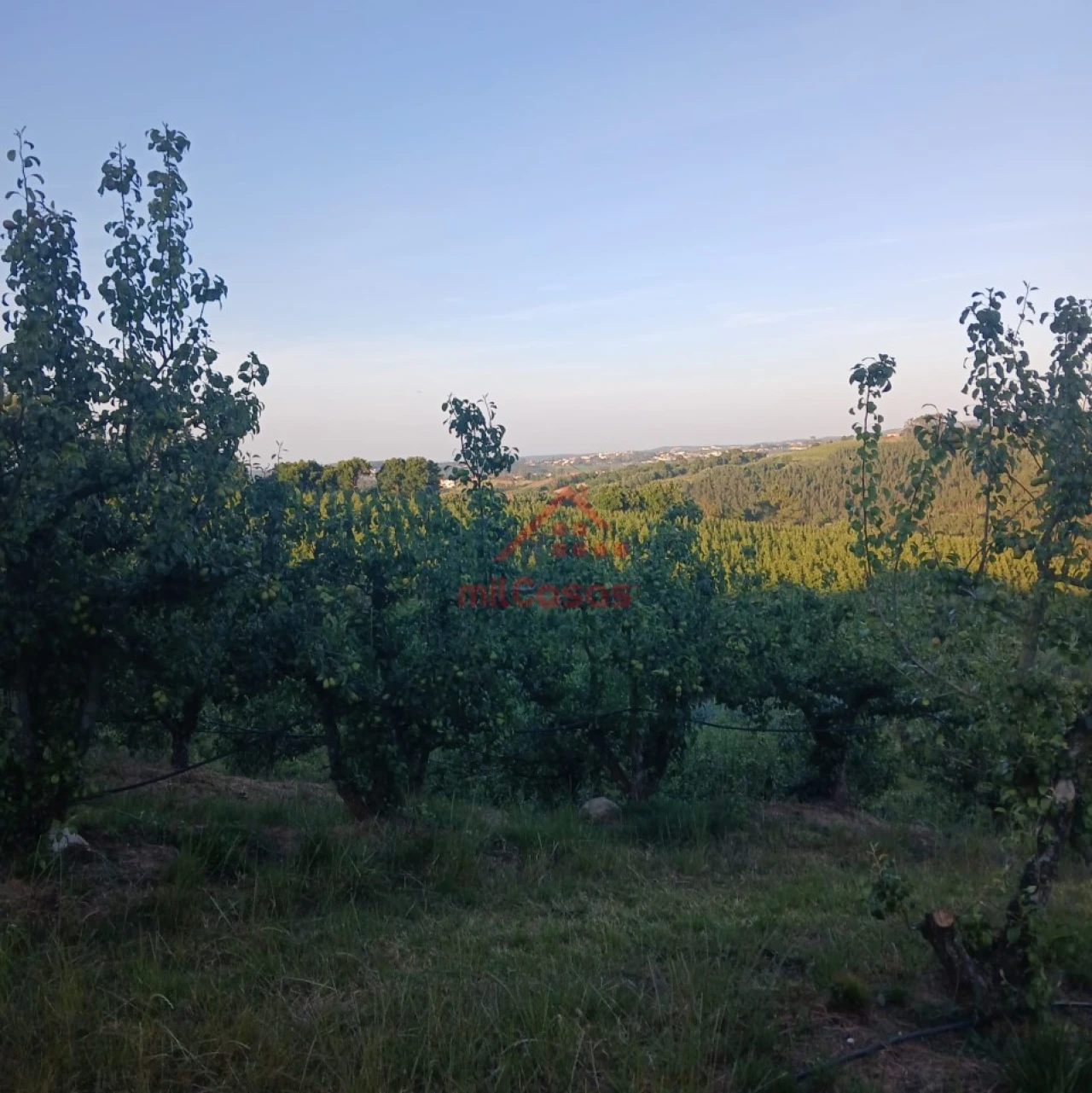 Terreno Misto para Venda em Carvalhal Foto 6