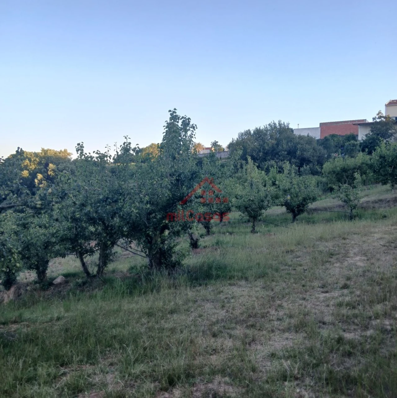 Terreno Misto para Venda em Carvalhal Foto 1