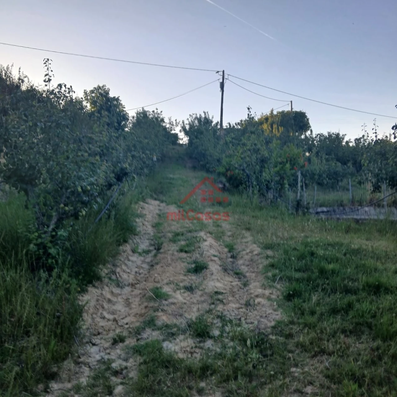 Terreno Misto para Venda em Carvalhal Foto 10