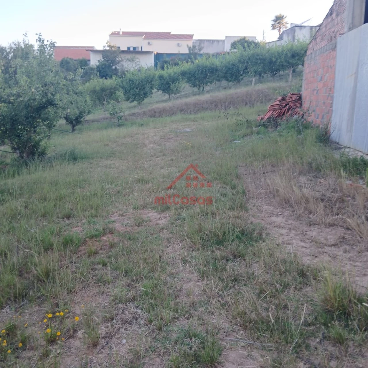 Terreno Misto para Venda em Carvalhal Foto 12