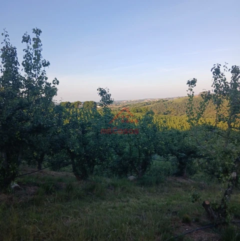 Terreno Misto para Venda em Carvalhal