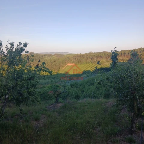Terreno Misto para Venda em Carvalhal