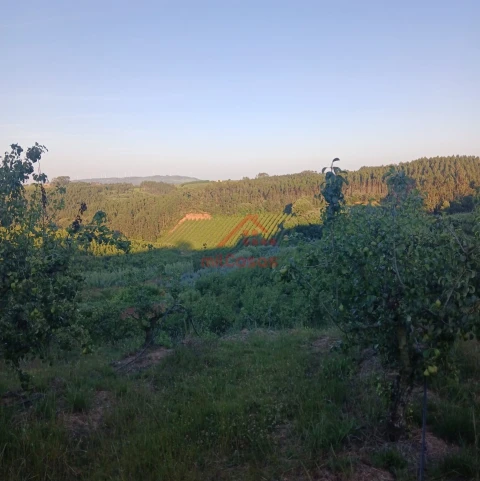 Terreno Misto para Venda em Carvalhal
