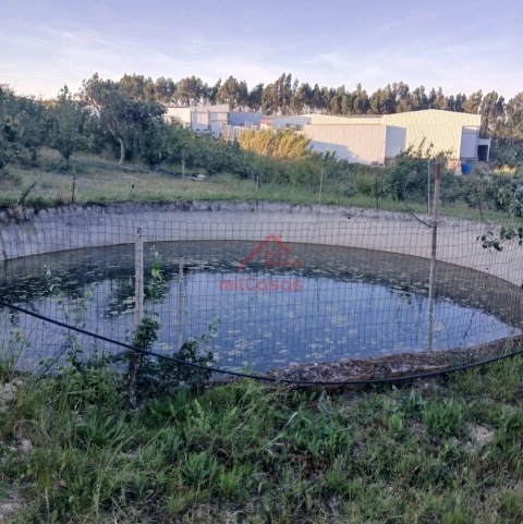 Terreno Misto para Venda em Carvalhal