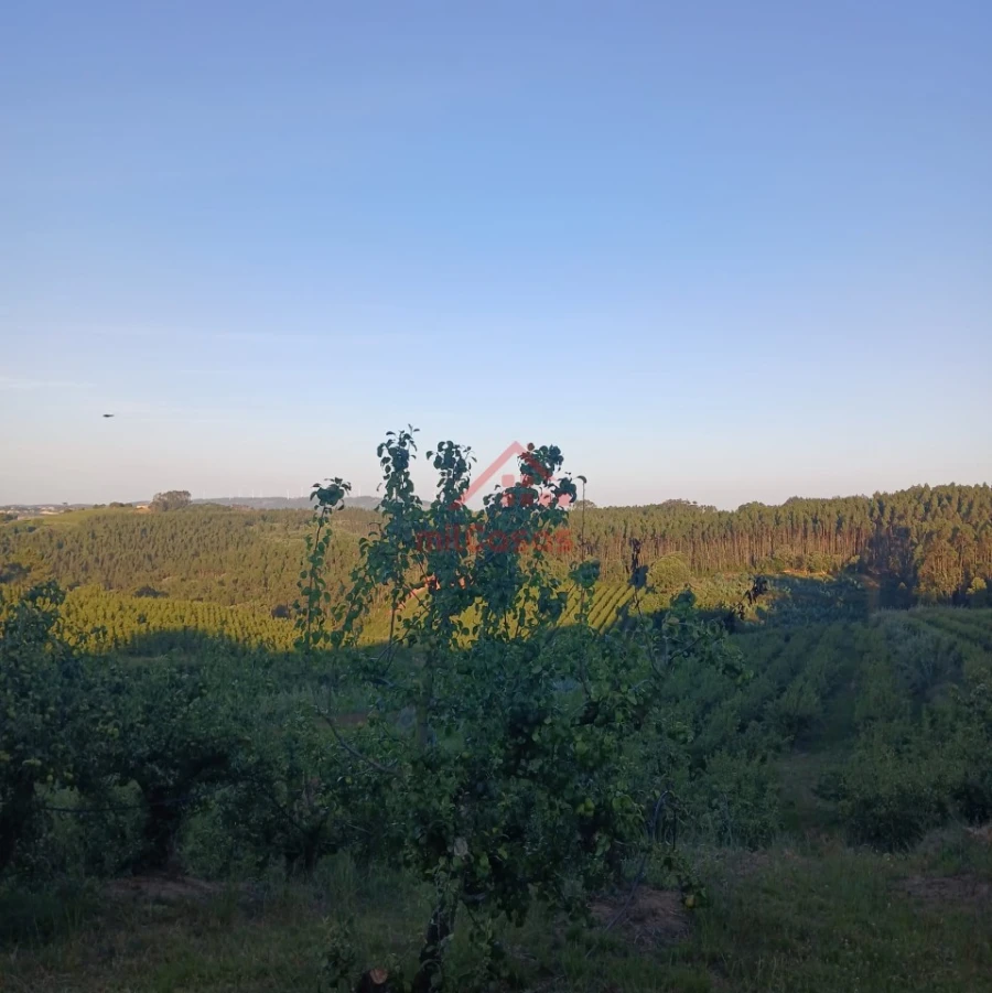 Terreno Misto para Venda em Carvalhal Foto 5