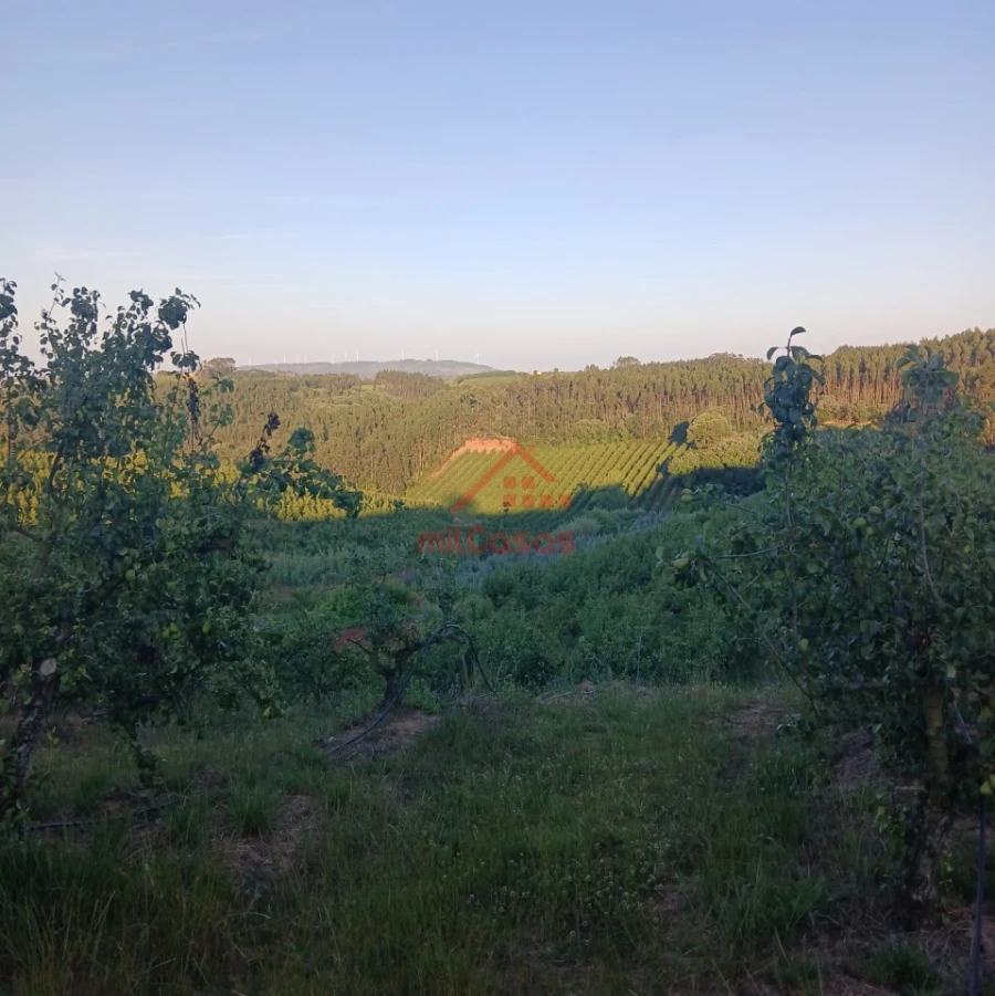 Terreno Misto para Venda em Carvalhal Foto 7