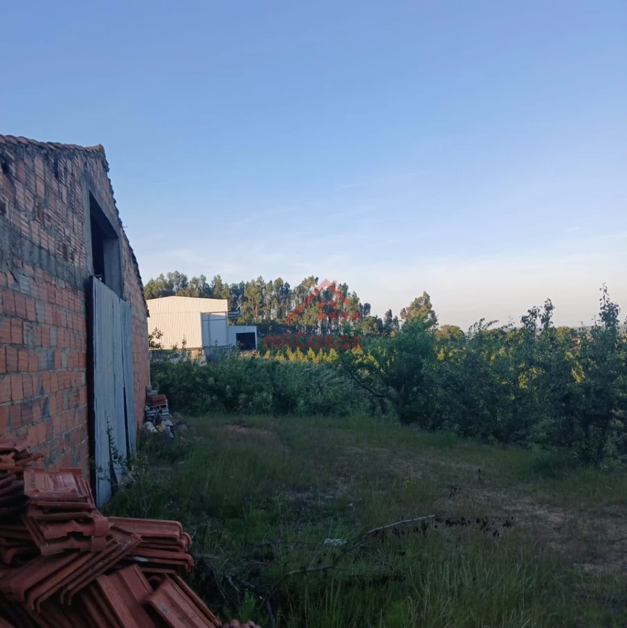 Terreno Misto para Venda em Carvalhal Foto 13