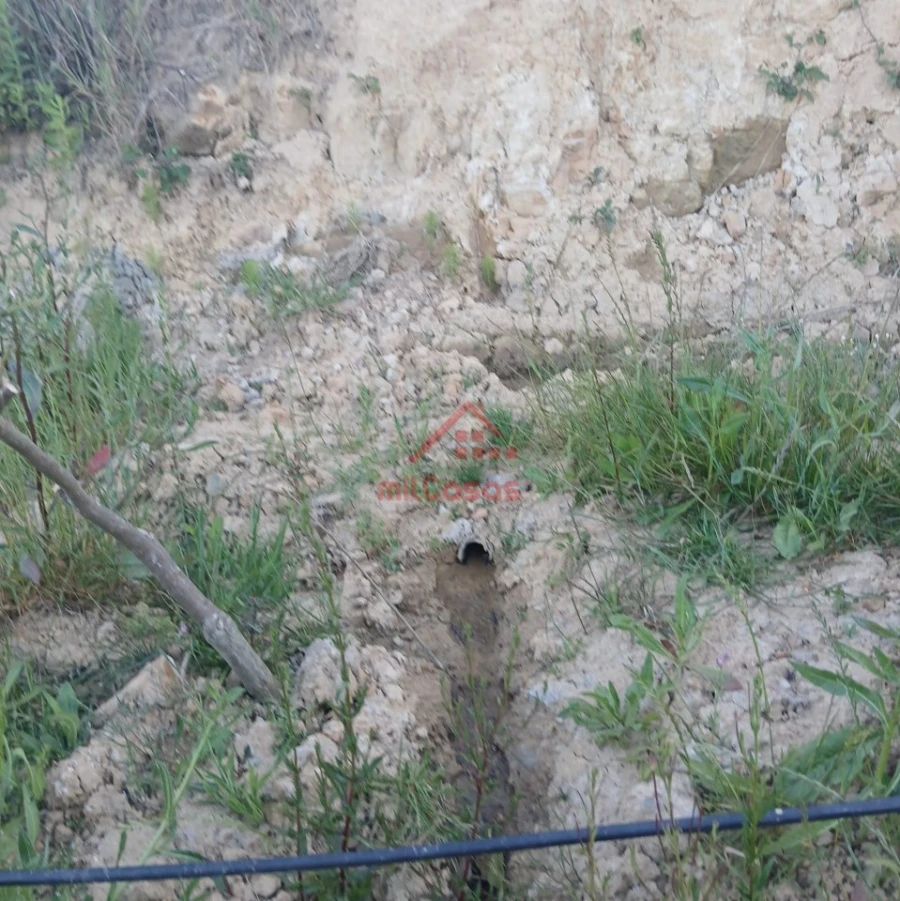 Terreno Misto para Venda em Carvalhal Foto 4