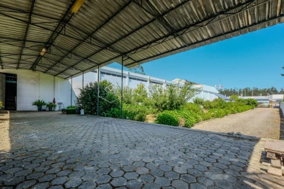 Armazém para Arrendamento em Anta e Guetim