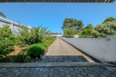 Armazém para Arrendamento em Anta e Guetim