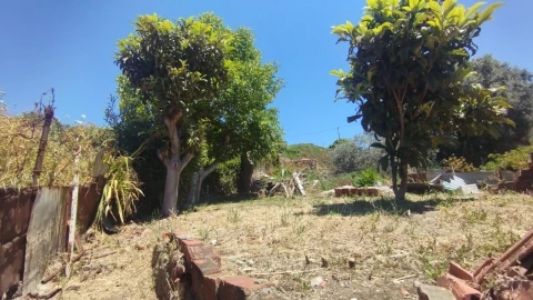 Prédio para Venda em Marvila