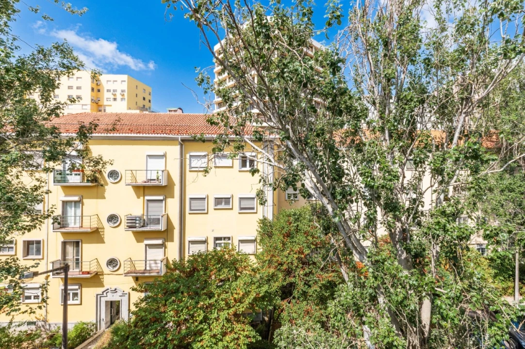 Apartamento T4 para Venda em Alvalade Foto 1