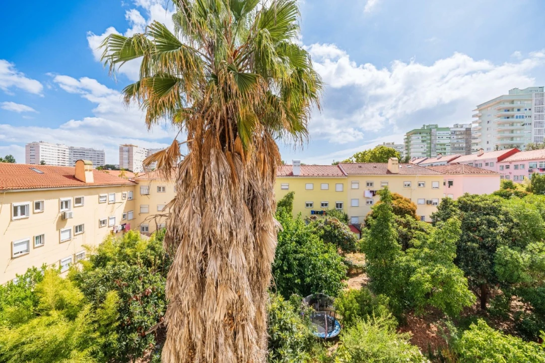 Apartamento T4 para Venda em Alvalade Foto 46