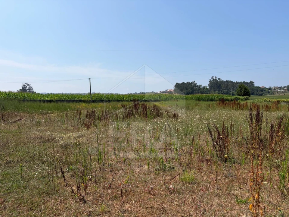 Terreno para Venda em Cristelo Foto 3