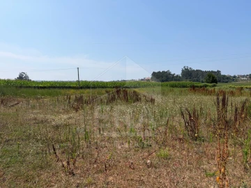 Terreno para Venda em Cristelo