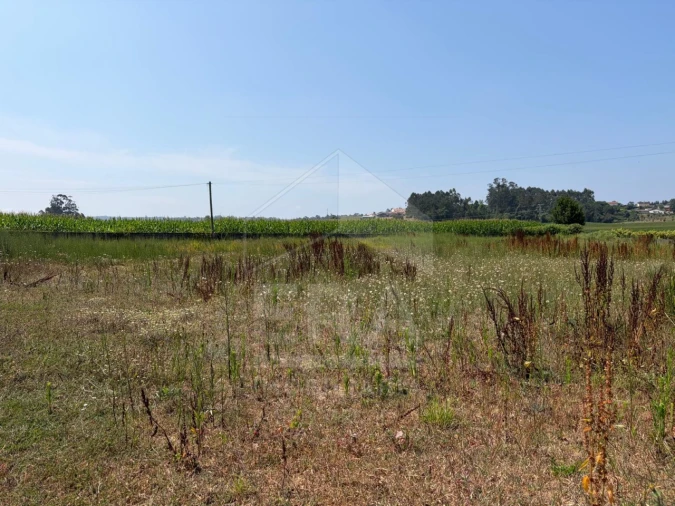 Terreno para Venda em Cristelo Foto 3
