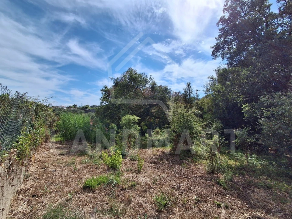 Terreno para Venda em Benedita Foto 1