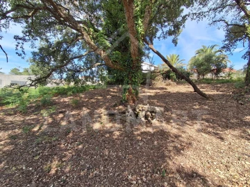 Terreno para Venda em Benedita