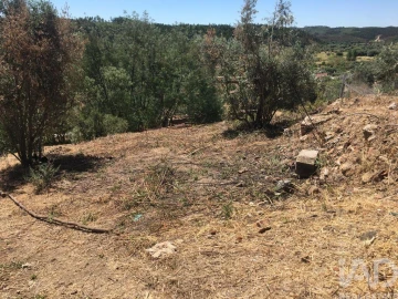 Terreno para Venda em Carvoeiro